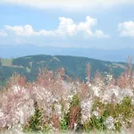 By Interhome Wolfsberg