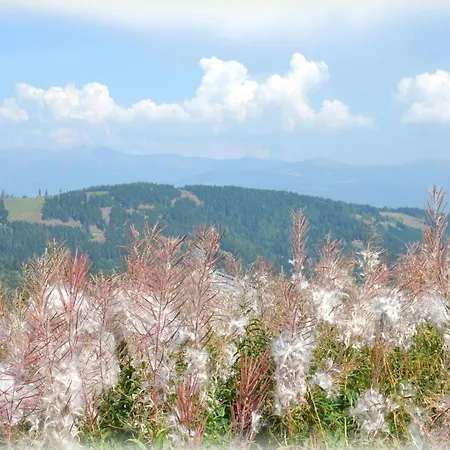 By Interhome Wolfsberg