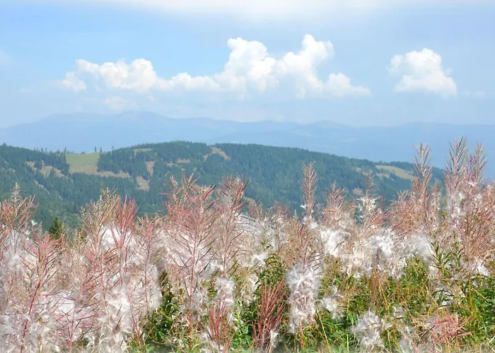 By Interhome Wolfsberg